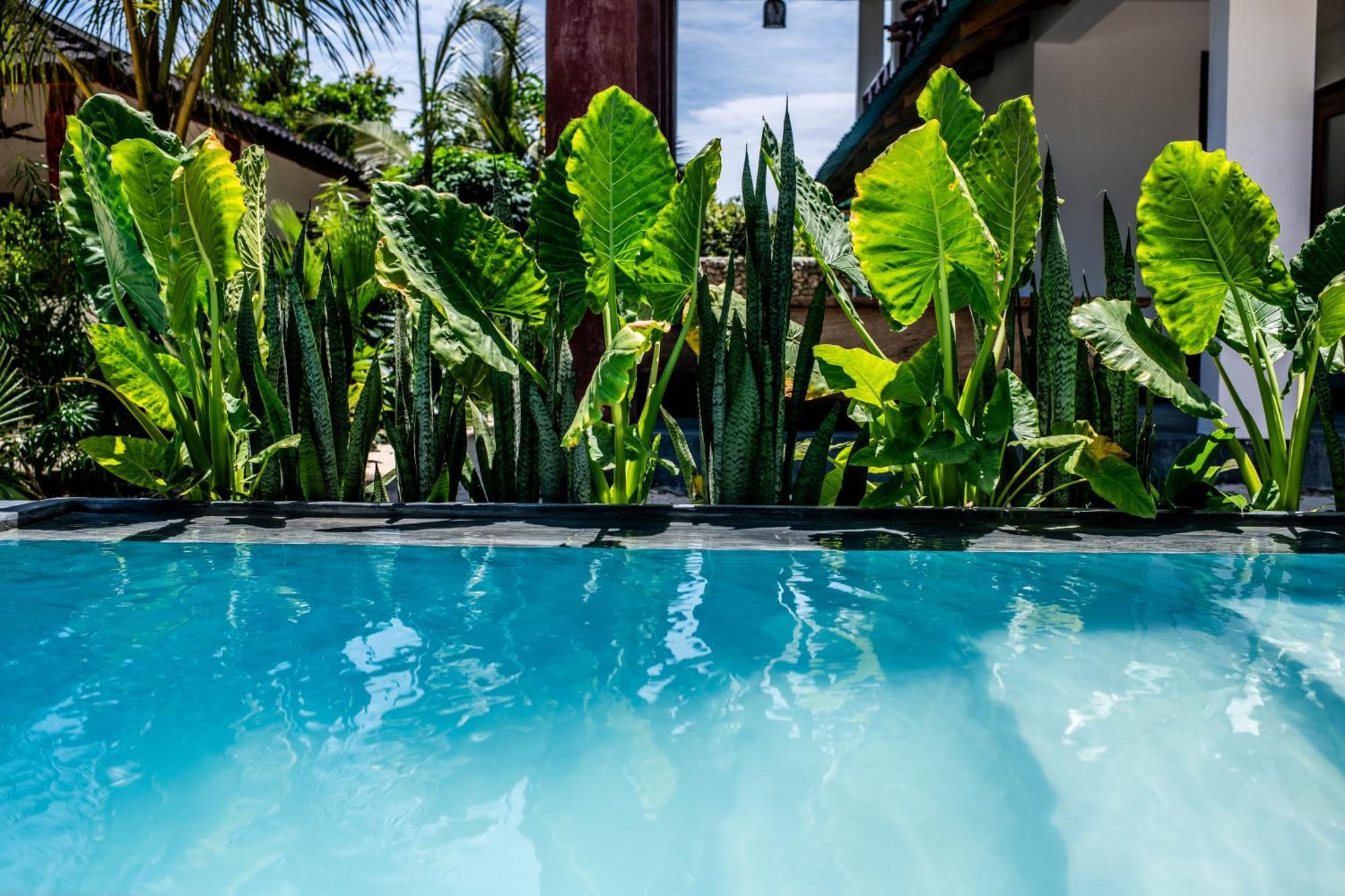 Baobab Bungalows Jambiani  Luaran gambar