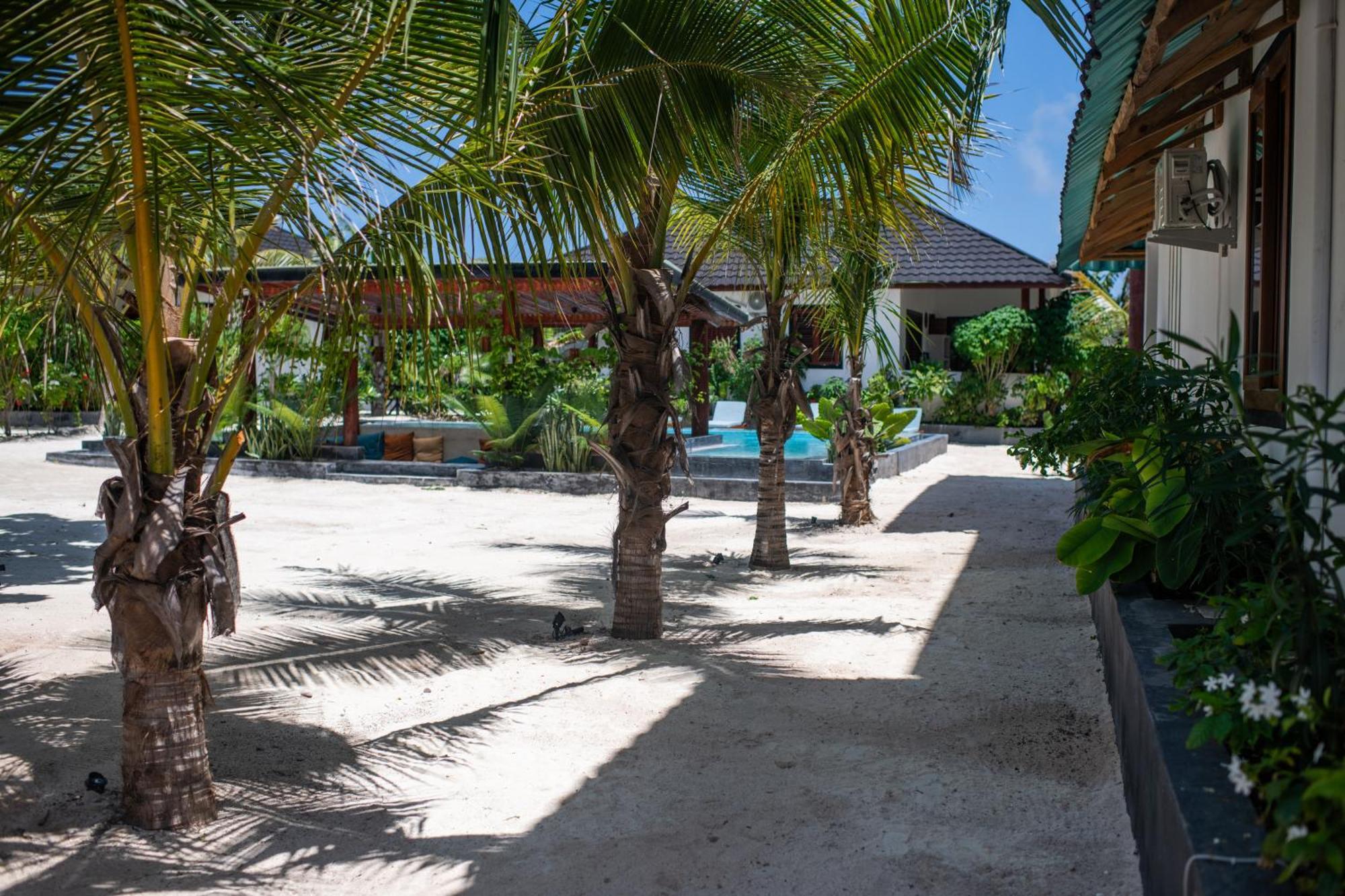 Baobab Bungalows Jambiani  Luaran gambar