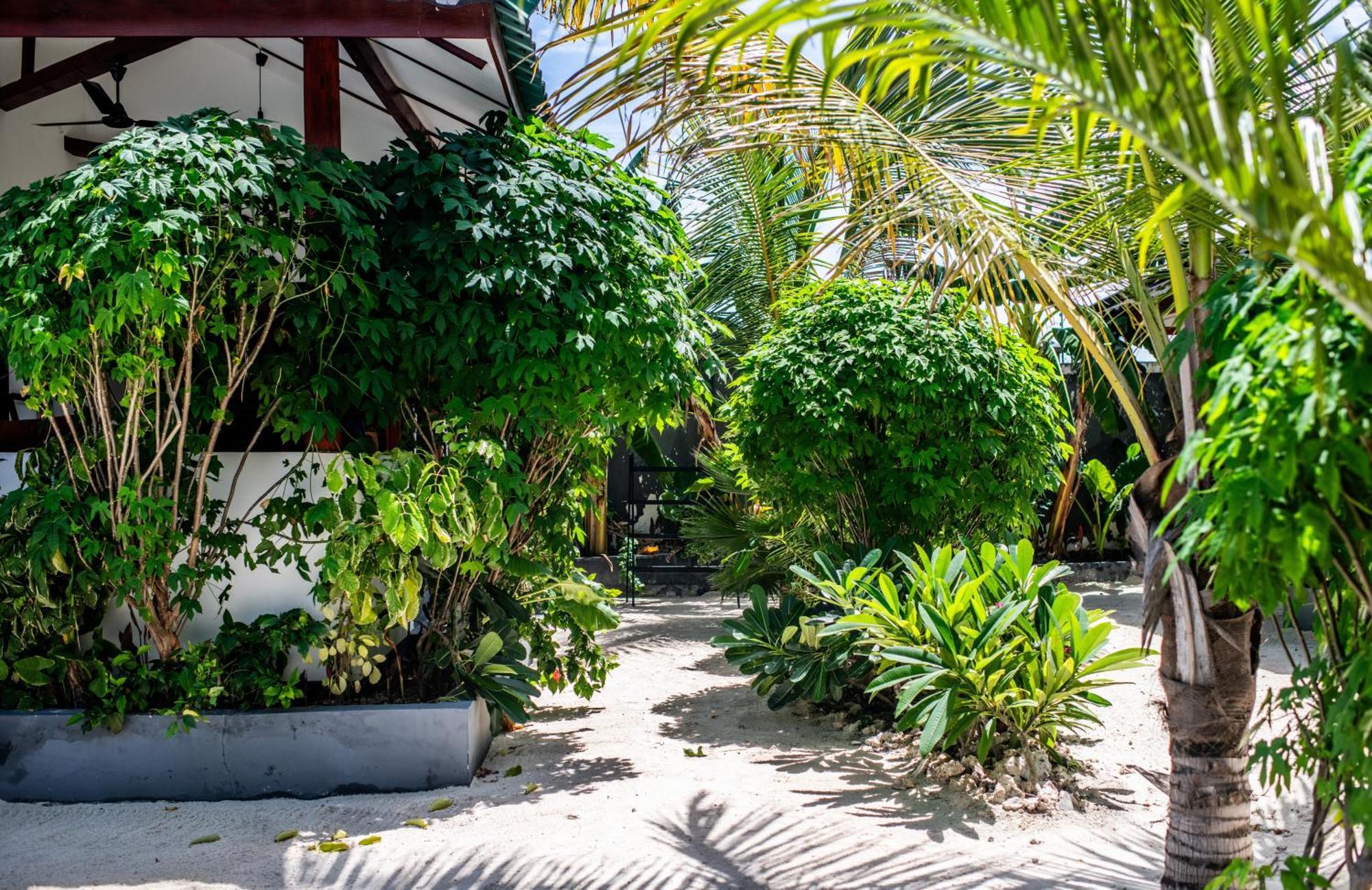 Baobab Bungalows Jambiani  Luaran gambar