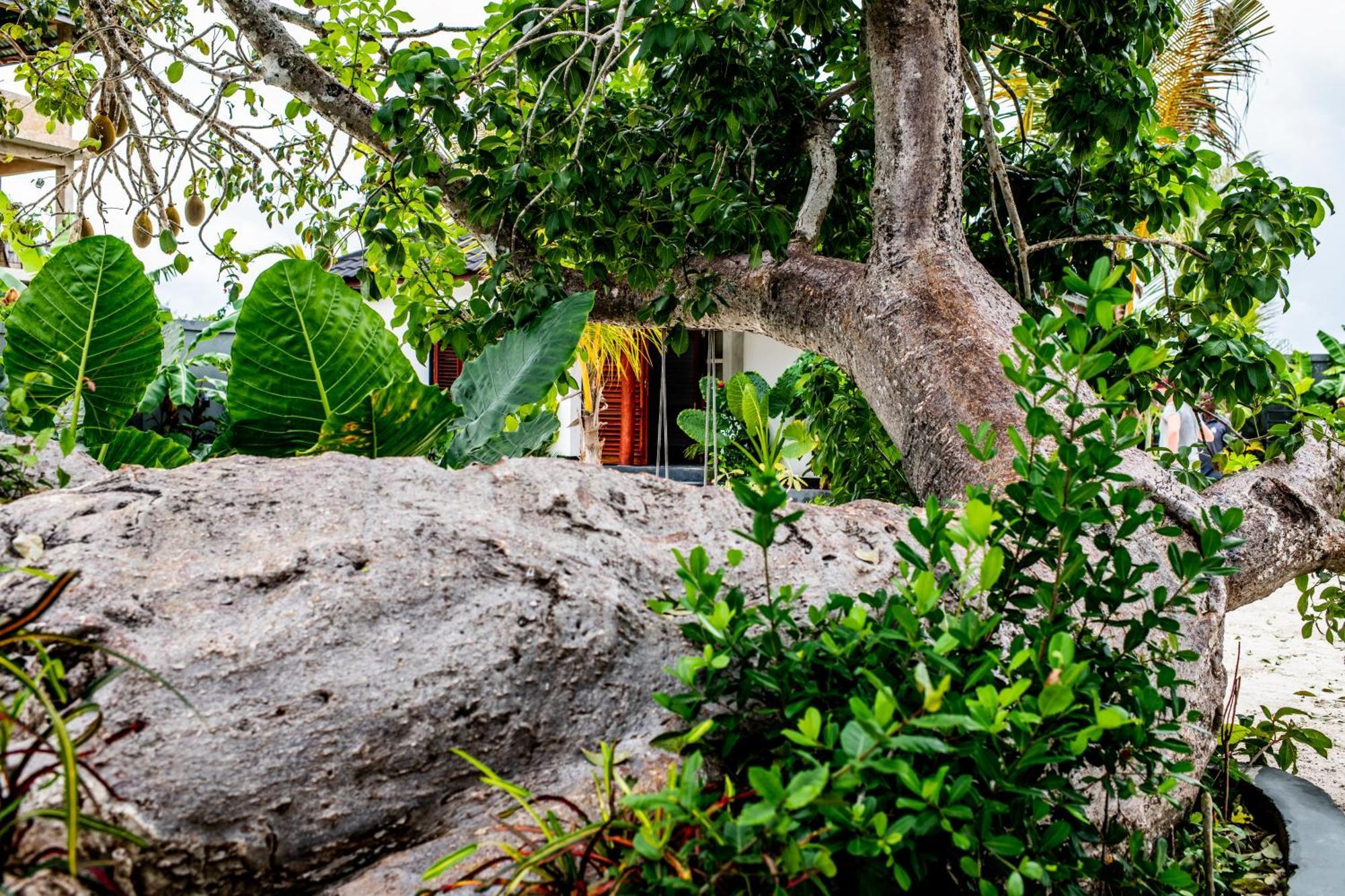 Baobab Bungalows Jambiani  Luaran gambar