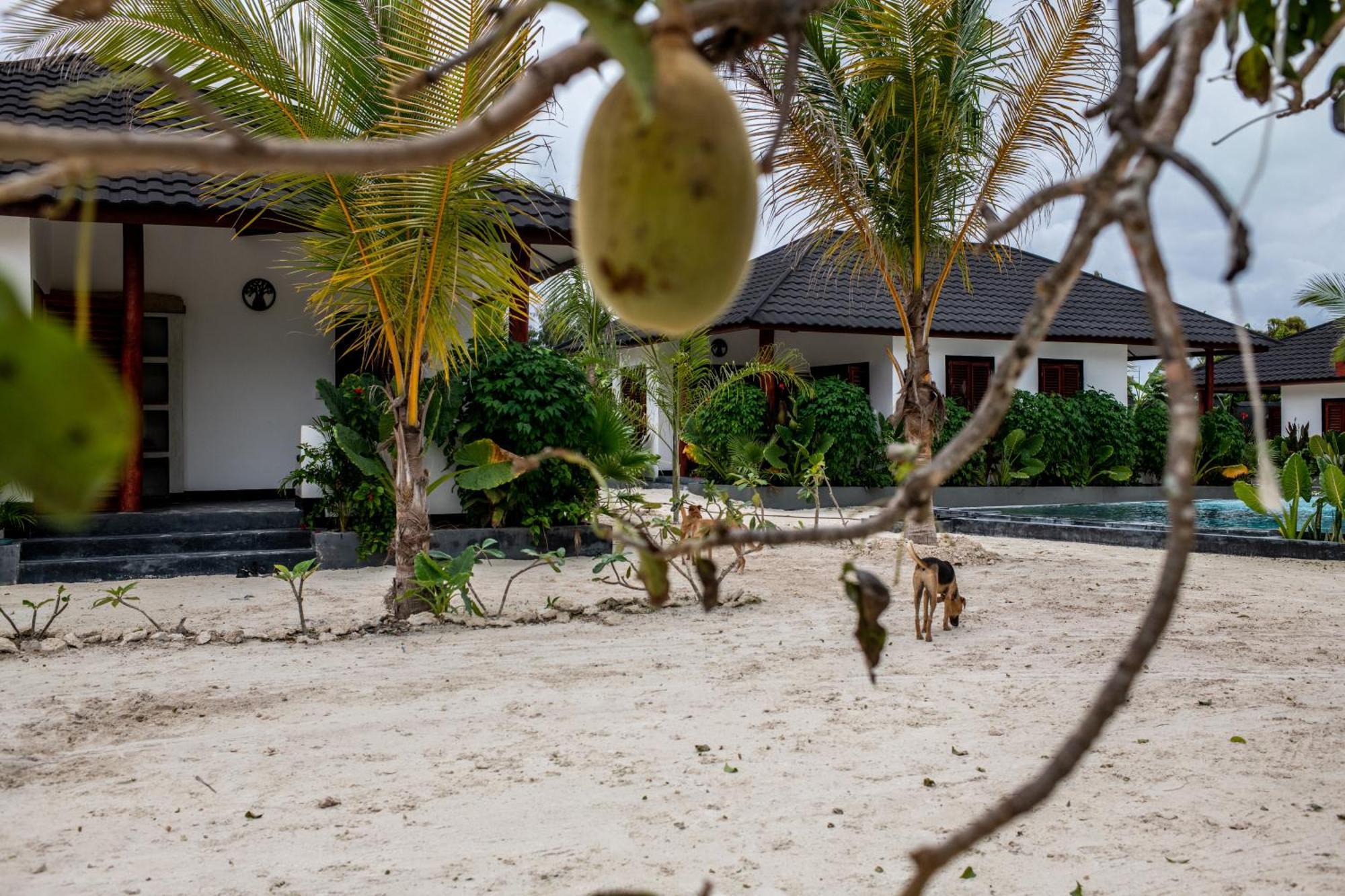 Baobab Bungalows Jambiani  Luaran gambar